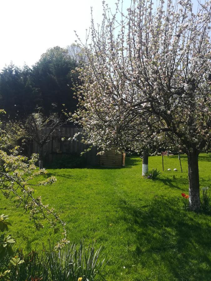 Le Gite Insolite Gonnedouille Gonneville-en-Auge Bagian luar foto